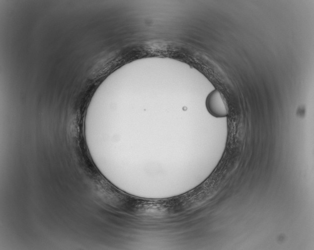 X0000116890702201001121344