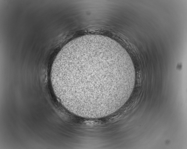 X0000116890703201001121343