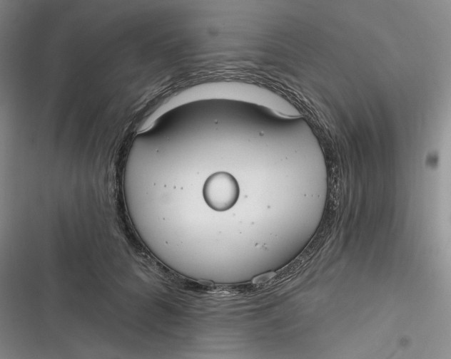 X0000116890704201001121343