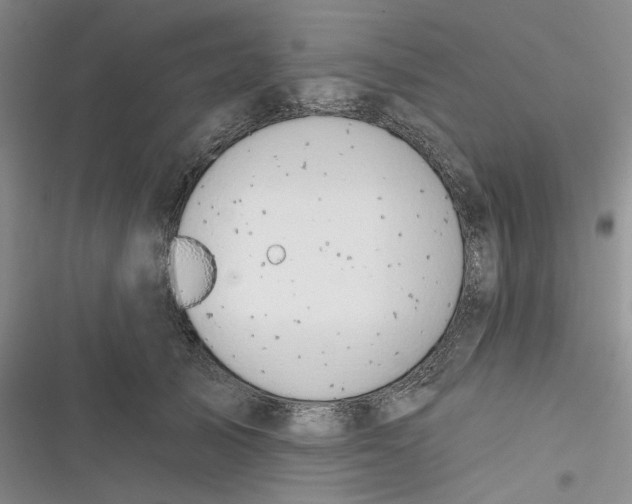 X0000116890705201001121343