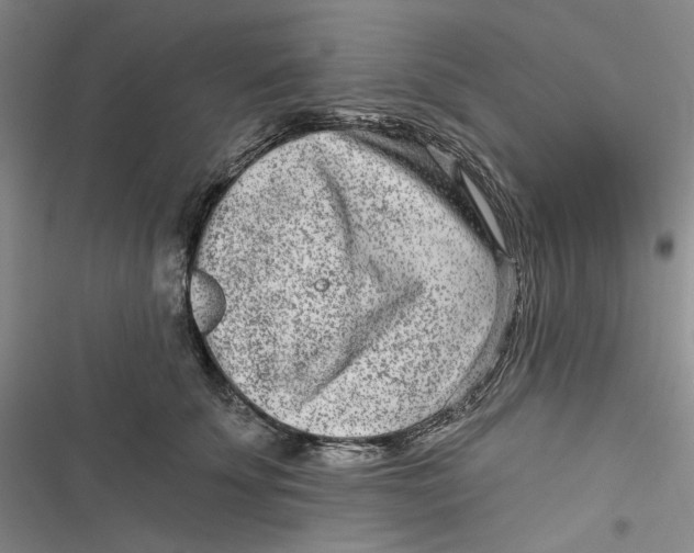 X0000116890707201001121343