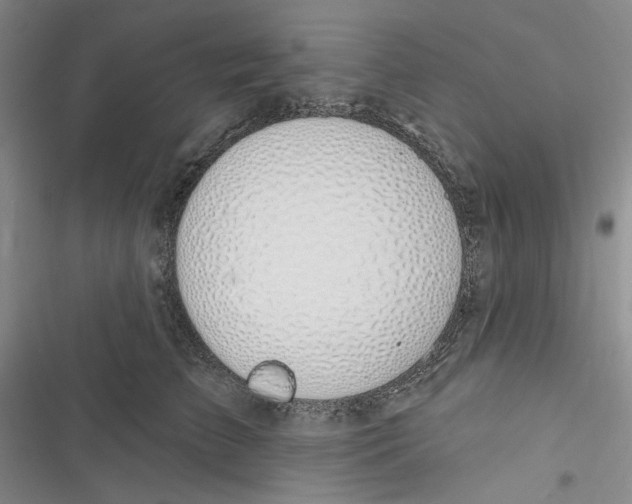 X0000116890709201001121343