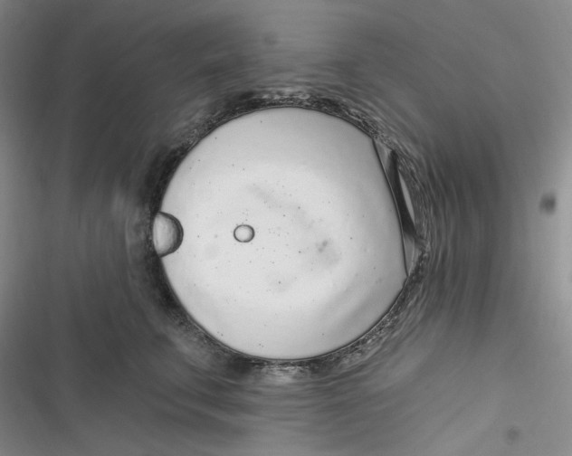 X0000116890711201001121343