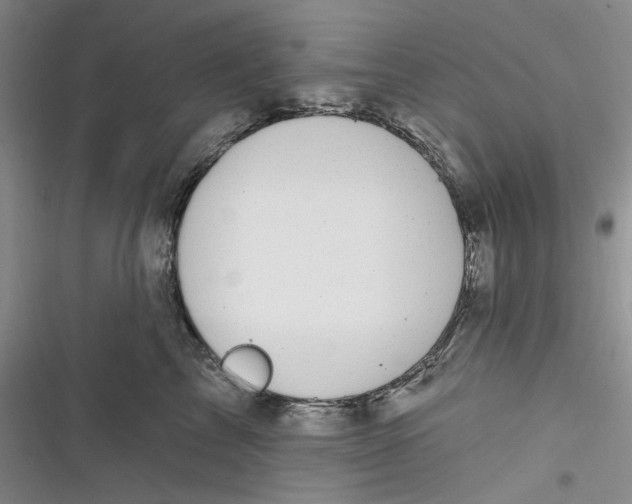 X0000116890713201001121343