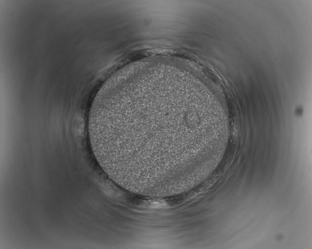 X0000116890715201001121343