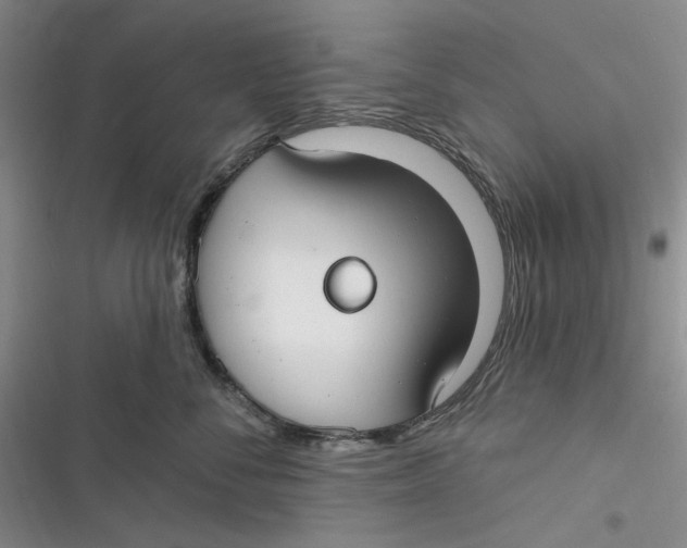 X0000116890716201001121343