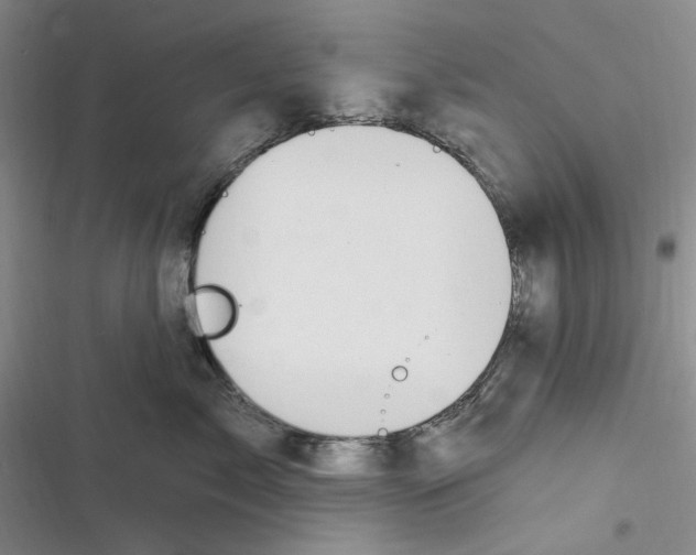 X0000116890717201001121343