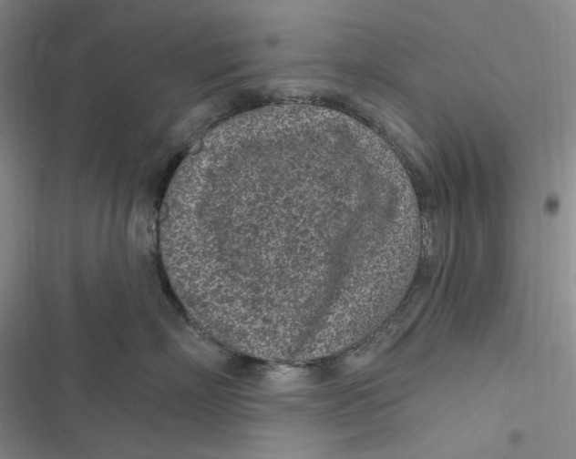 X0000116890718201001121343