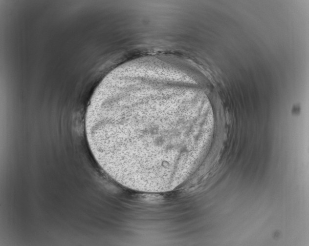 X0000116890719201001121343