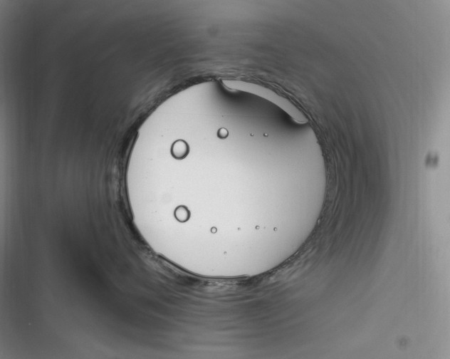 X0000116890720201001121343