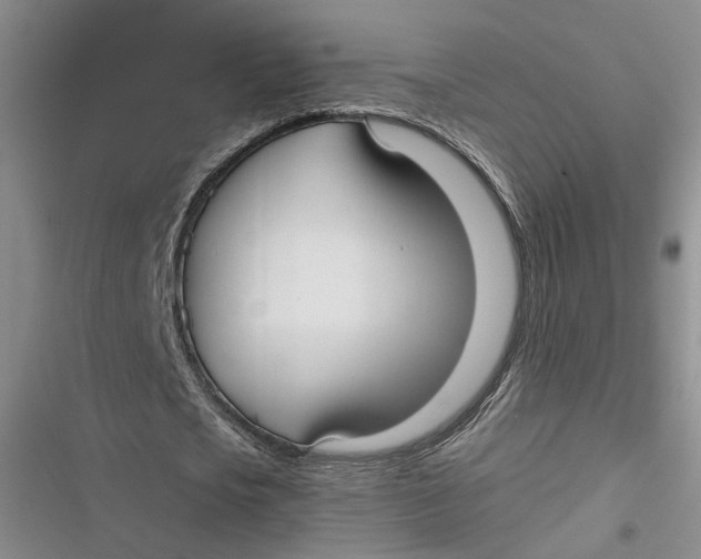 X0000116890721201001121343