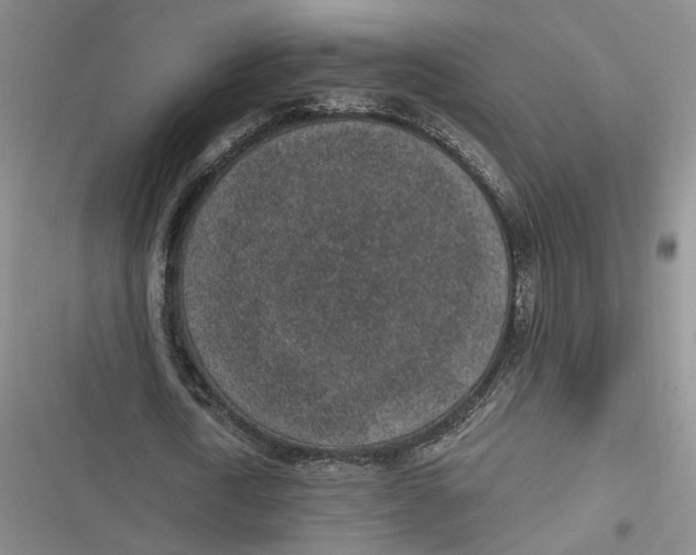 X0000116890722201001121343