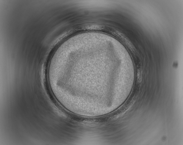 X0000116890725201001121343