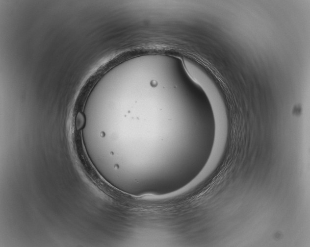 X0000116890726201001121343