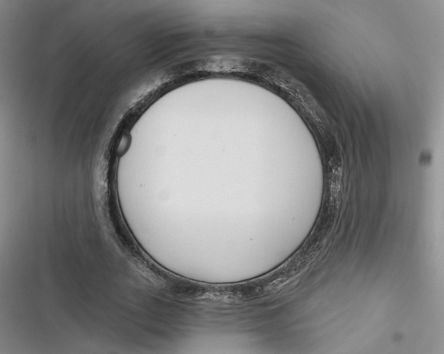 X0000116890727201001121343