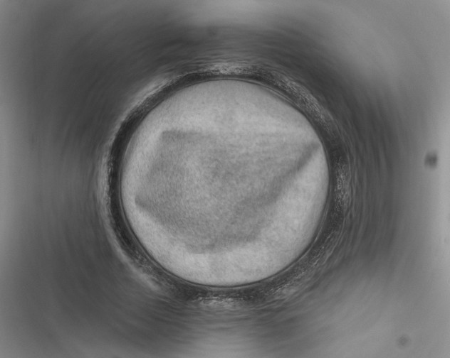 X0000116890730201001121343