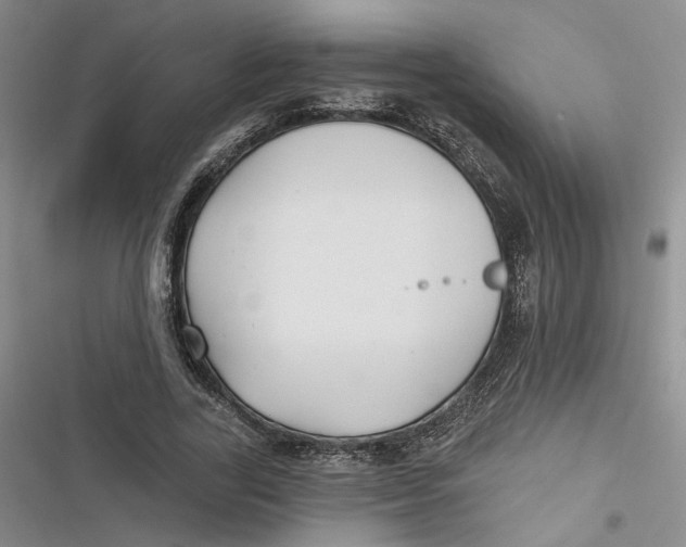 X0000116890731201001121343