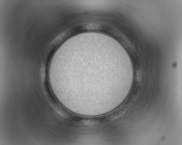 X0000116890733201001121343