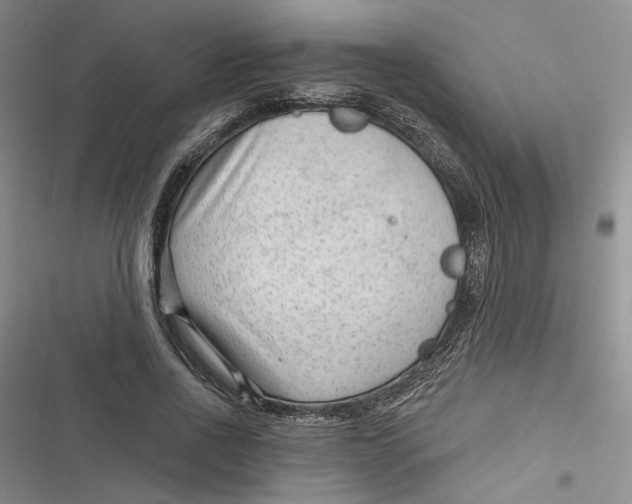 X0000116890734201001121343