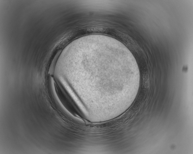 X0000116890735201001121343