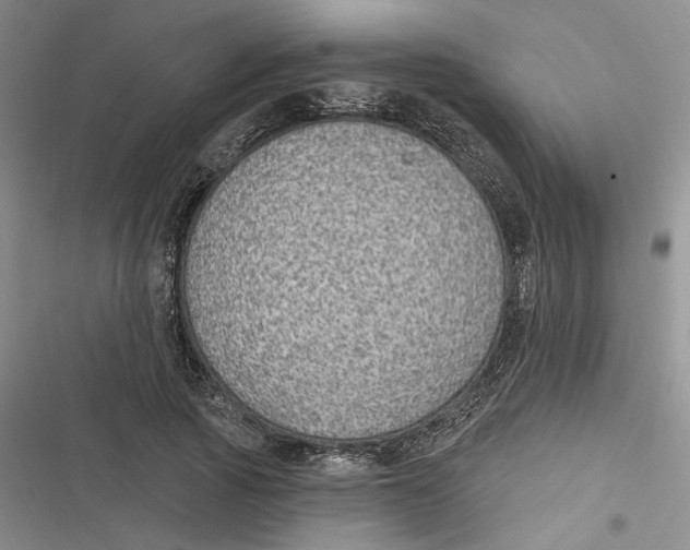 X0000116890737201001121343