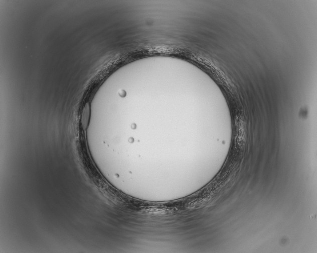 X0000116890738201001121343