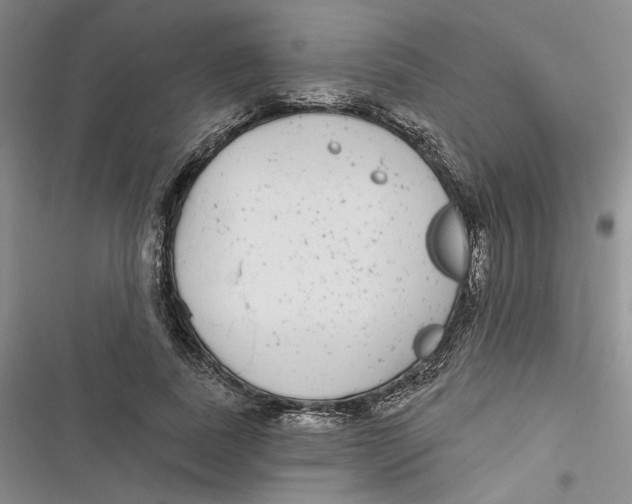 X0000116890739201001121343