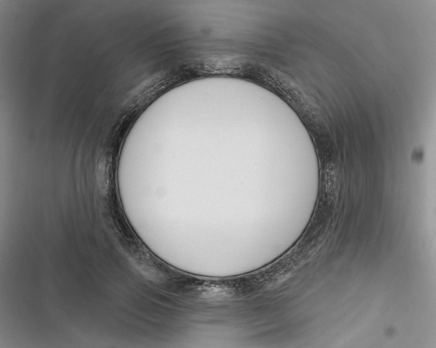 X0000116890741201001121343