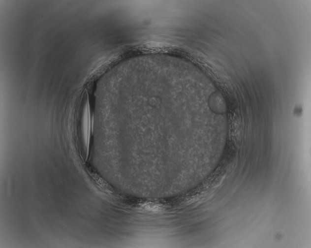 X0000116890742201001121343