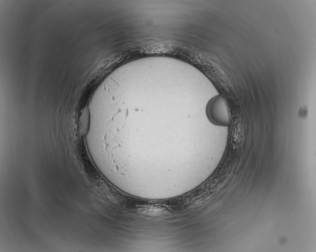 X0000116890743201001121343