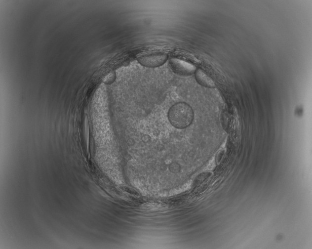 X0000116890745201001121343