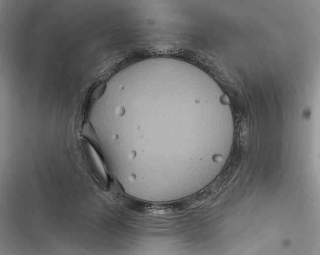 X0000116890746201001121343