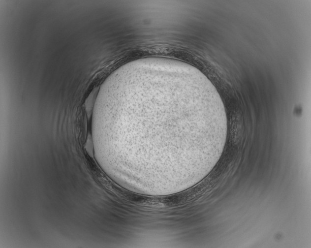 X0000116890747201001121343