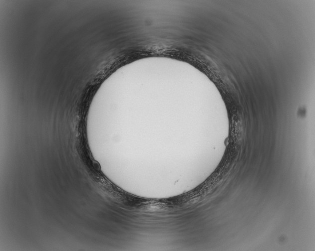 X0000116890750201001121343