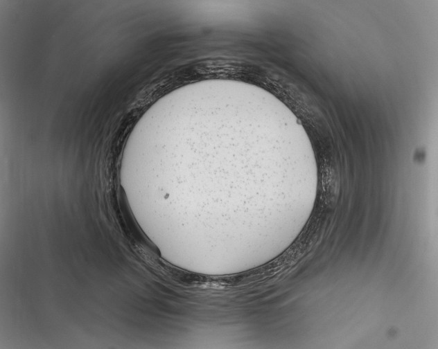 X0000116890751201001121343