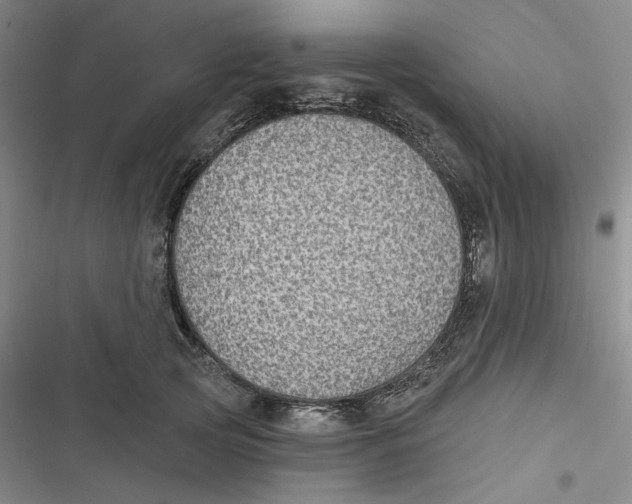 X0000116890753201001121343