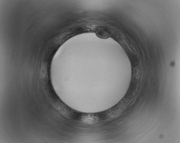 X0000116890754201001121343