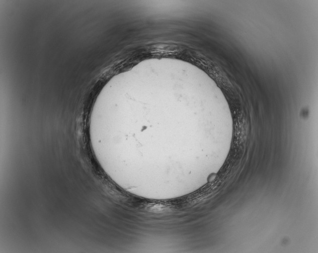 X0000116890755201001121343