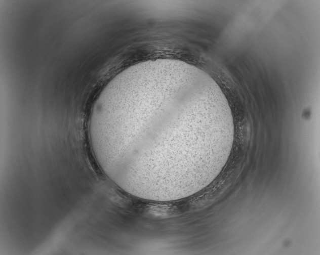 X0000116890757201001121343