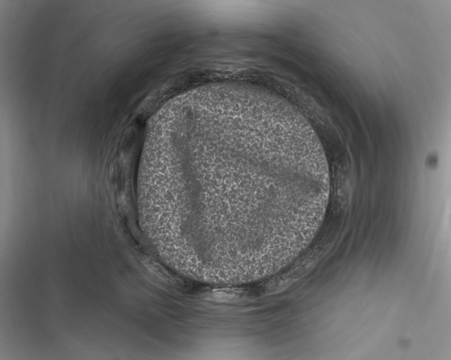 X0000116890758201001121343