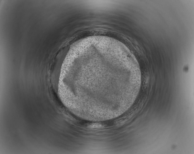 X0000116890759201001121343