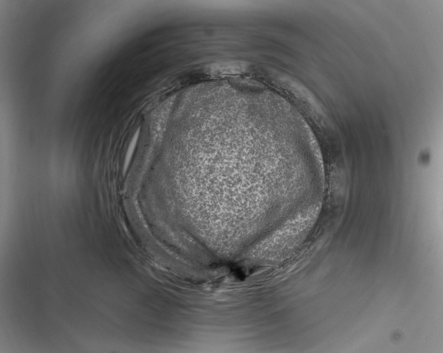 X0000116890761201001121343