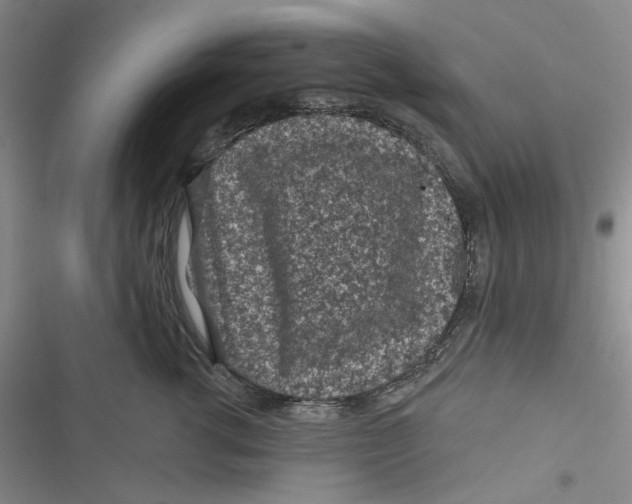 X0000116890762201001121343