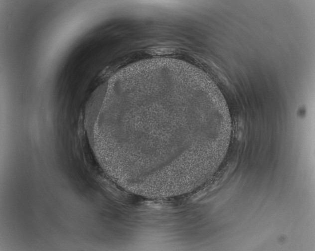 X0000116890763201001121343