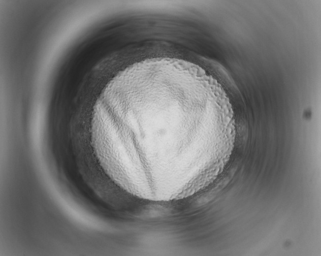 X0000116890765201001121343