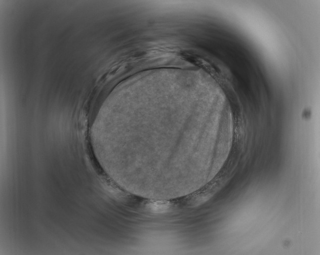 X0000116890767201001121343