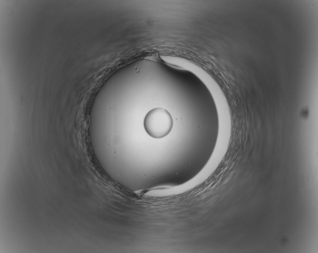 X0000116890769201001121343