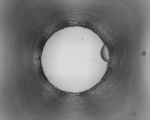 X0000116890770201001121343