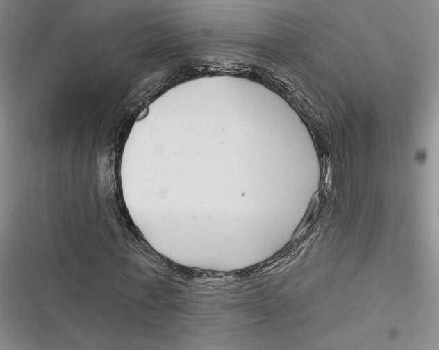 X0000116890771201001121343