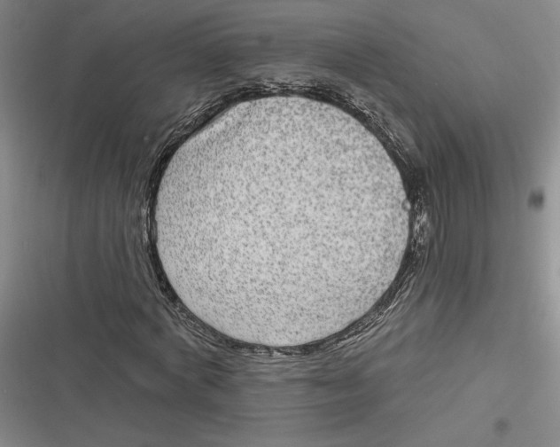 X0000116890772201001121343